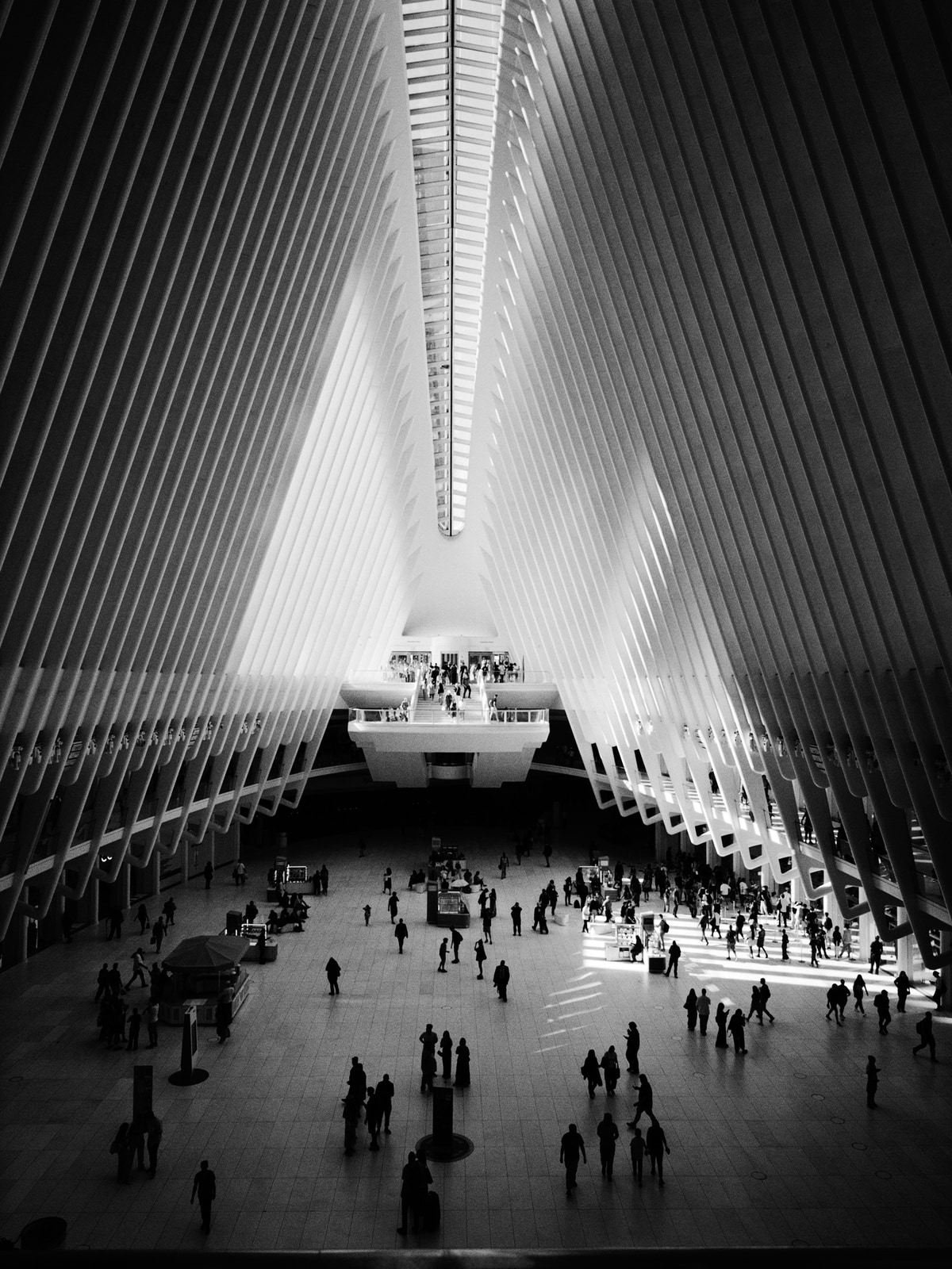 The World Trade Center Oculus